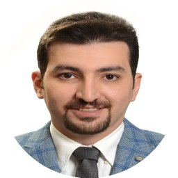 Meisam Aligholami