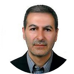 Prof. Seyed Esmail Razavi